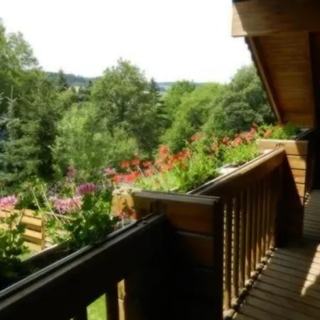 Eifelcottage Wildvogel Nyaraló *
