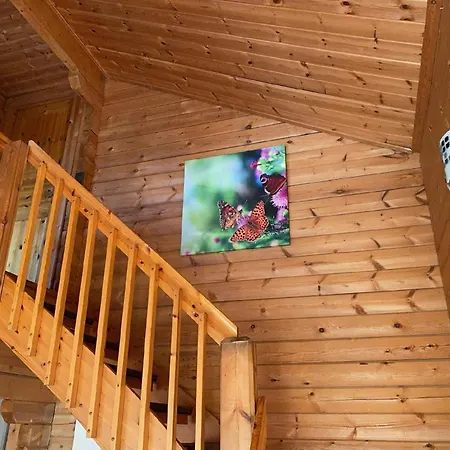 Eifelcottage Wildvogel *
